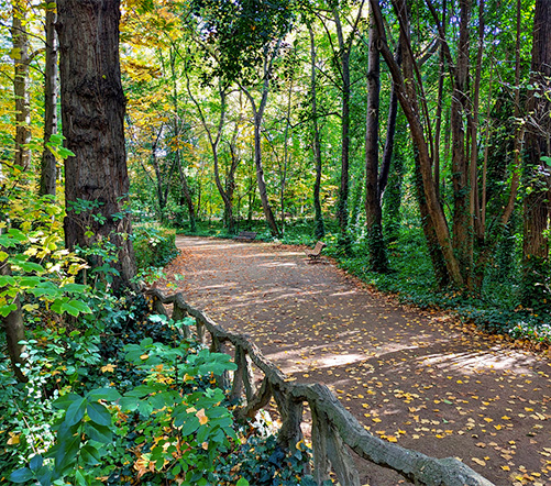 Otoño en Hotel Olid: tu refugio urbano en el centro de Valladolid